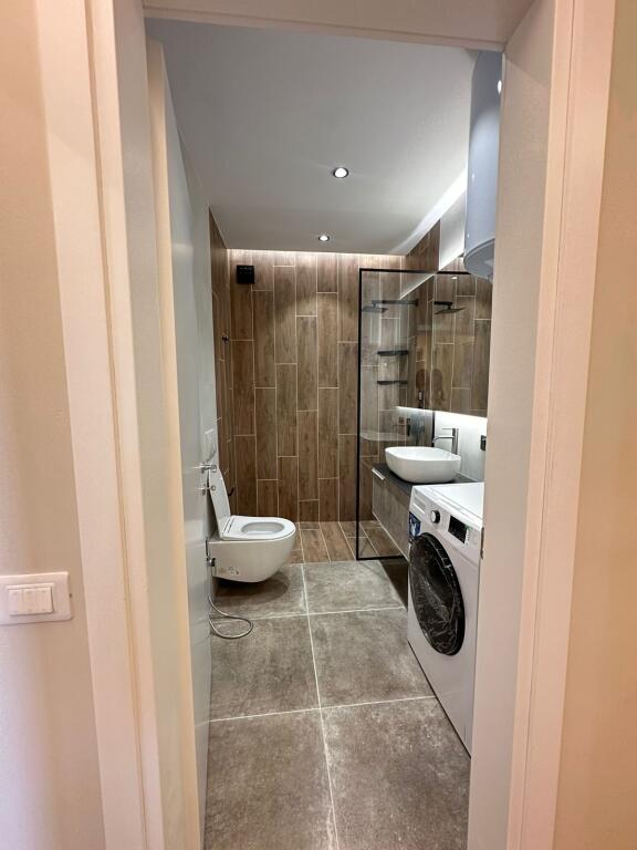 Modern 1+1 apartment for rent in Misto Mame