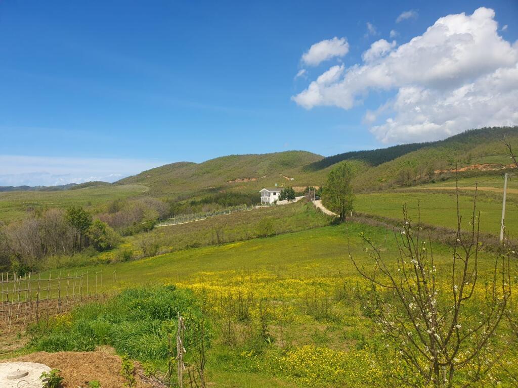 Shitet toke ne Lalez me dokument hipotekor