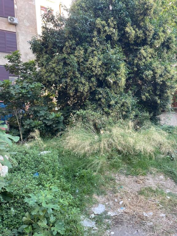 Truall në Shitje –148m² Durrës (Zona e Gjykatës)