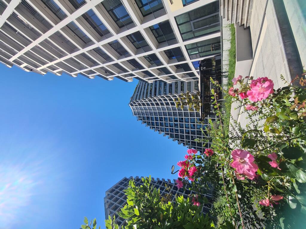 AMBIENT PER ZYRA ME QIRA, LAKE VIEW