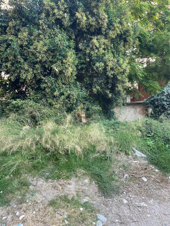 Truall në Shitje –148m² Durrës (Zona e Gjykatës)