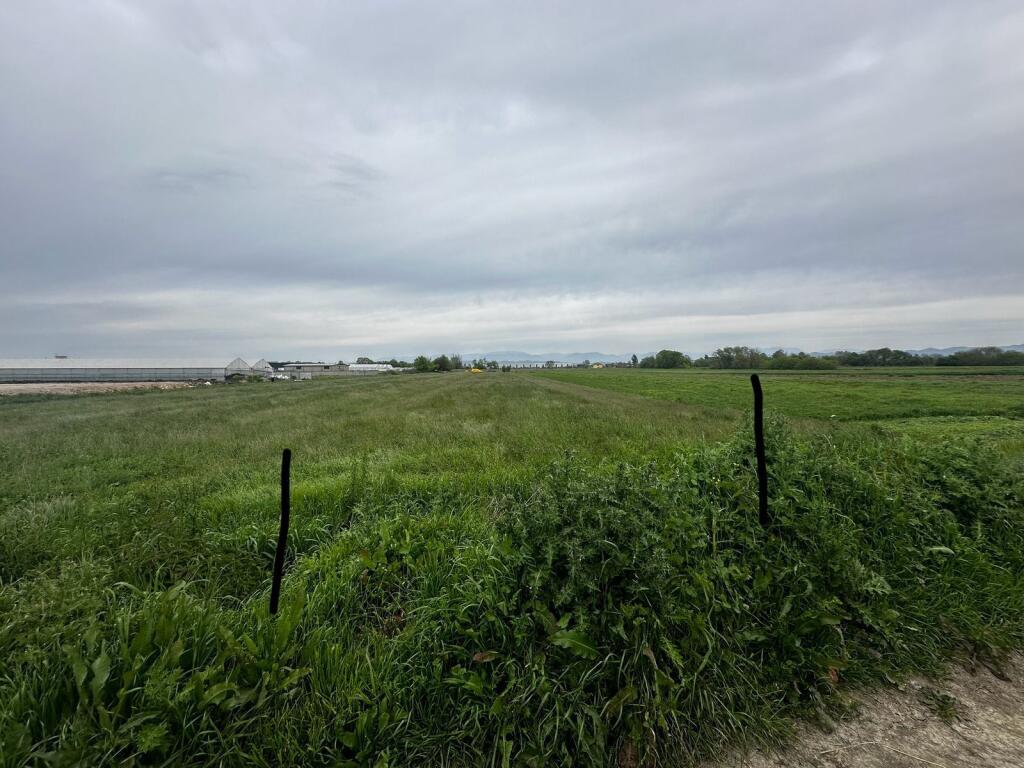 Shitet Toka Shenavlash Durres