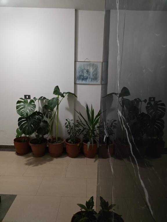 Apartament 1+1, Ekspozita!