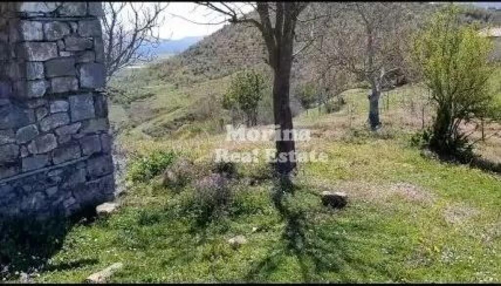 Shitet, Toke+shtepi e vjeter, ne Baldushk, 91000 euro