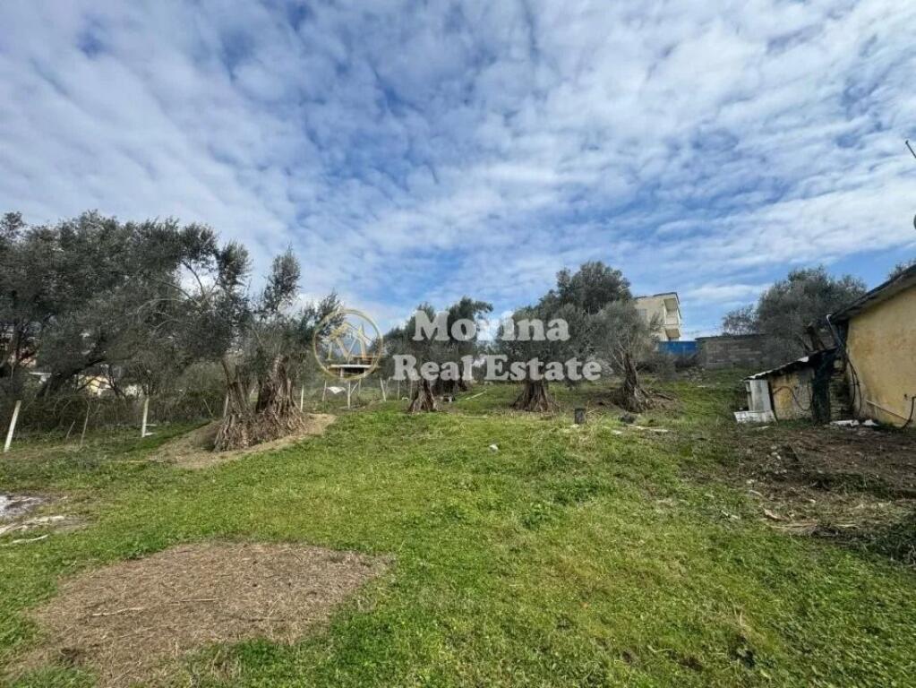 Shitet, Toke Truall+Shtepi,Farke e Vogel , 345000 euro