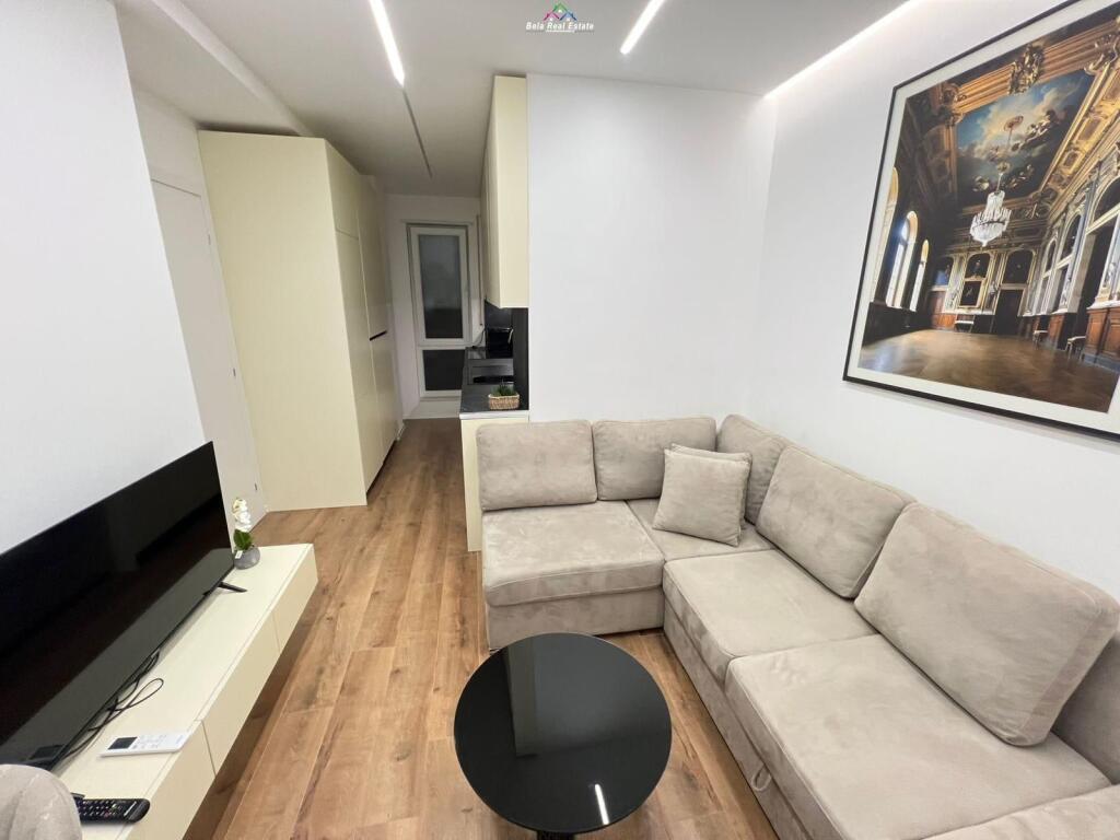 Apartament Me Qera 1+1 ne Myslym Shyr (ID B2101279) Tirane