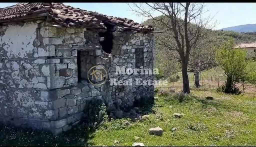 Shitet, Toke+shtepi e vjeter, ne Baldushk, 91000 euro