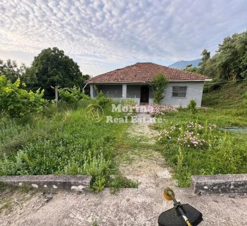 Shitet, Toke Truall+Shtepi,Farke e Vogel , 345000 euro