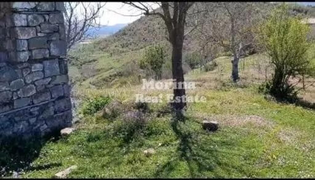 Shitet, Toke+shtepi e vjeter, ne Baldushk, 91000 euro