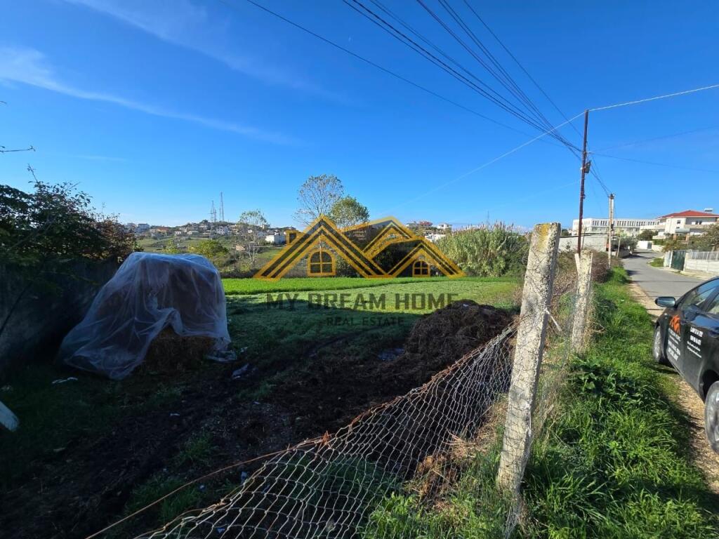SHITET TOKE NE ARAPAJ DURRES