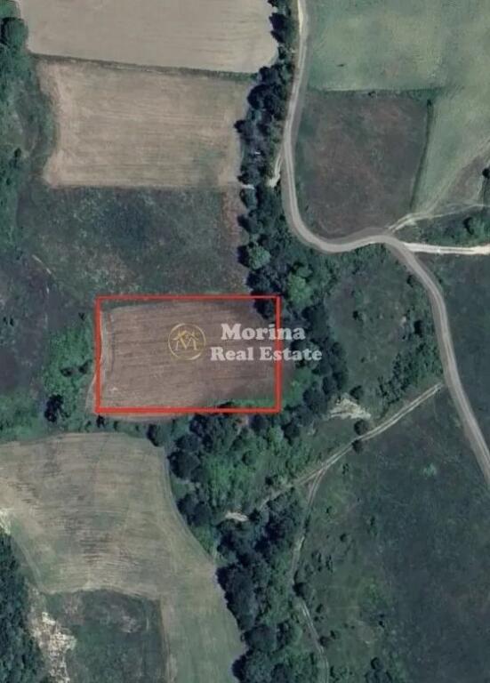 Shitet, Toke Truall, Kryezi Tirane, 300000 euro