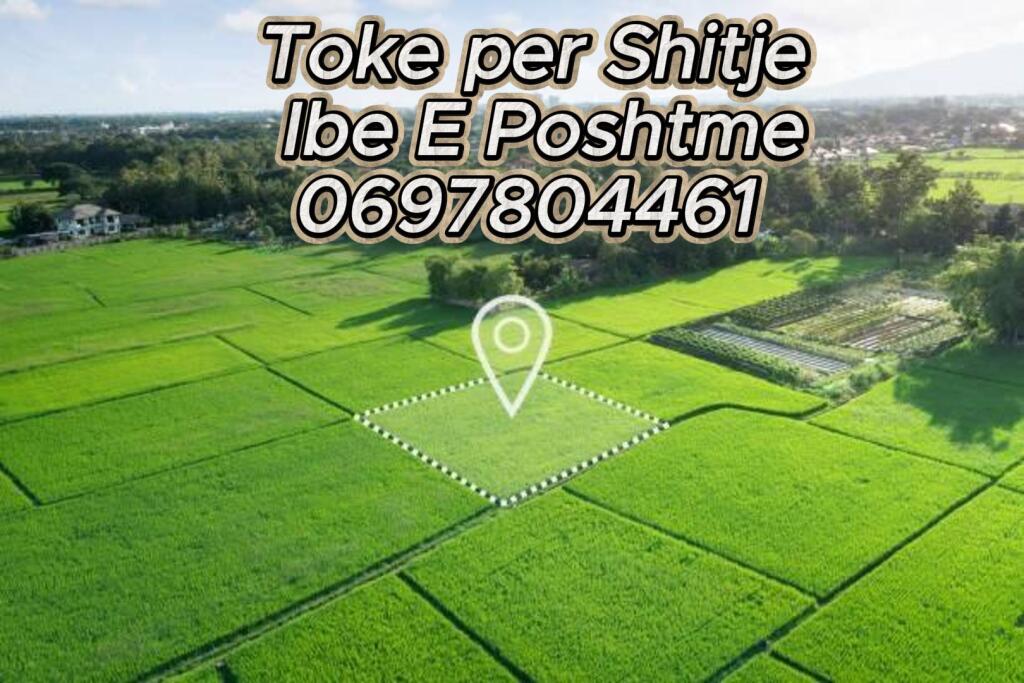 Shesim Parcela toke ne Ibe te poshtme