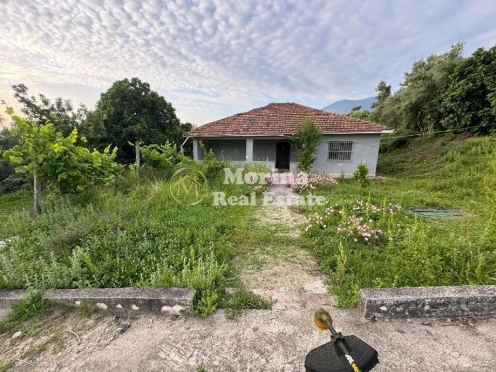 Shitet, Toke Truall+Shtepi,Farke e Vogel , 345000 euro