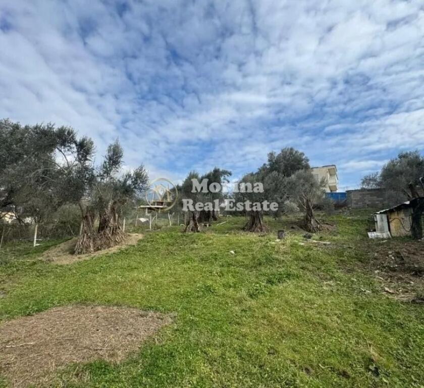 Shitet, Toke Truall+Shtepi,Farke e Vogel , 345000 euro