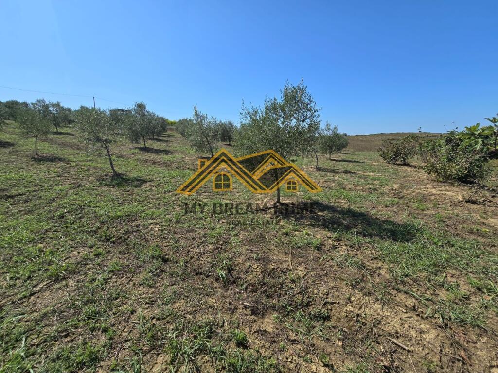 SHITET TOKE MANEZ E PERSHTATESHME PER SHTEPI