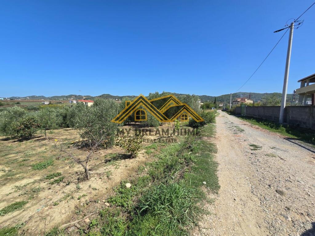 SHITET TOKE MANEZ E PERSHTATESHME PER SHTEPI