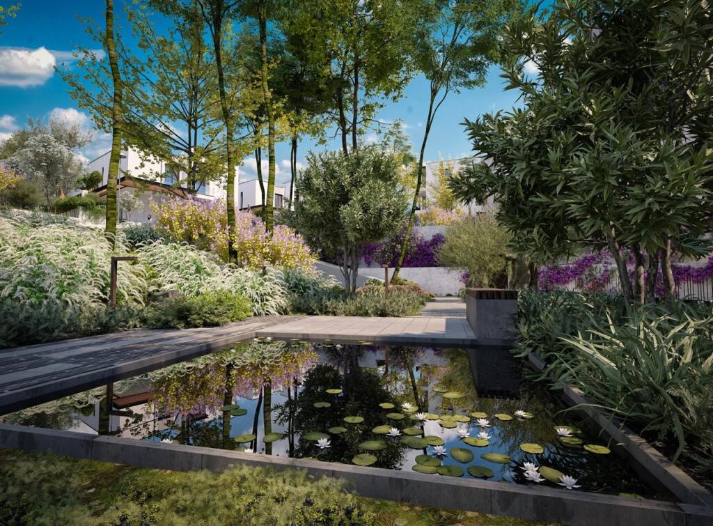 VILE ME PISHINE PER SHITJE PRANE TEG