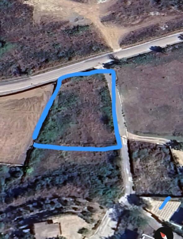 Shitet toke buze rruge ne Berzhite