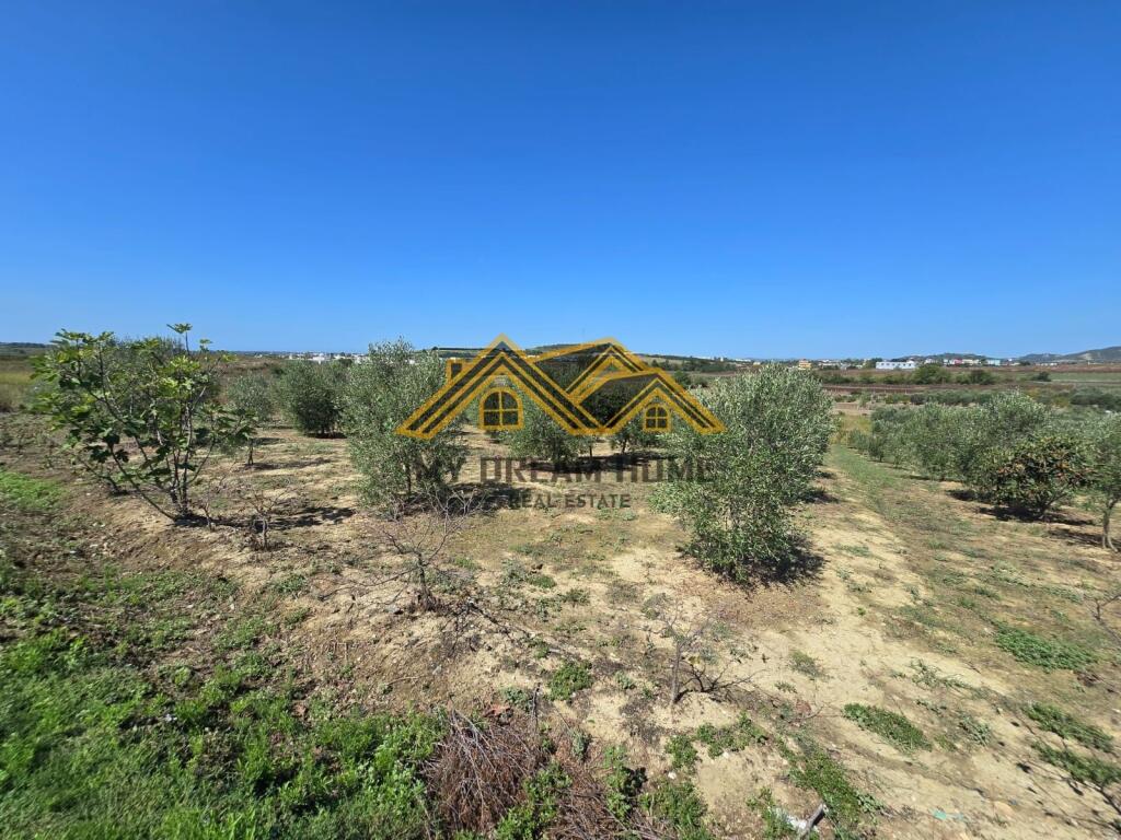 SHITET TOKE MANEZ E PERSHTATESHME PER SHTEPI