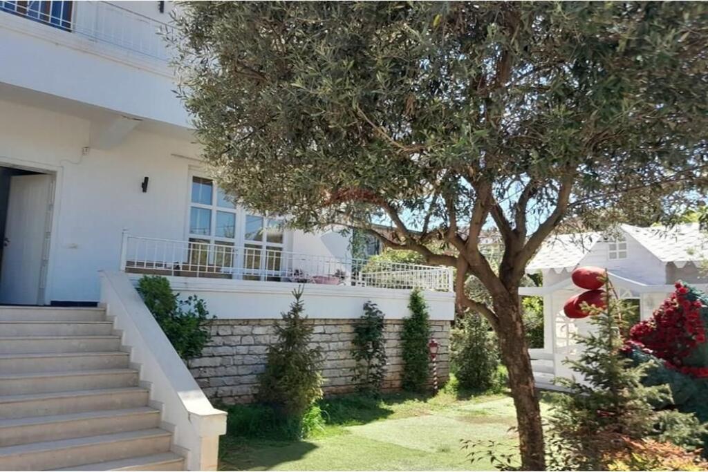 Villa - For Rent - Aleksandër Moisiu Street, Tirana