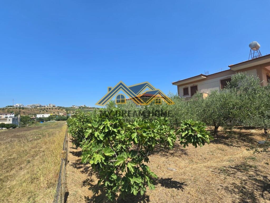 TOKE PER SHITJE NE SHKALLNUR