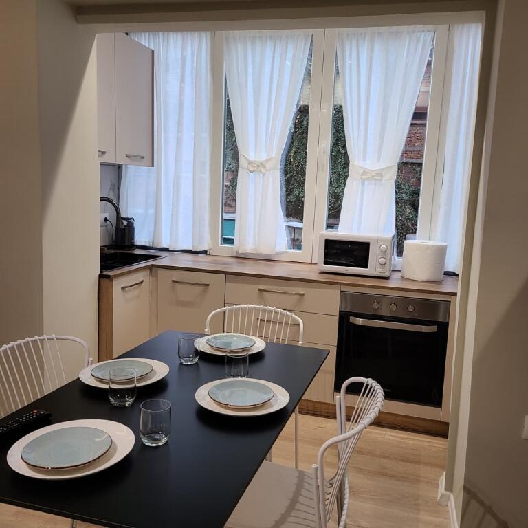 Appartamento 1+1 in affitto