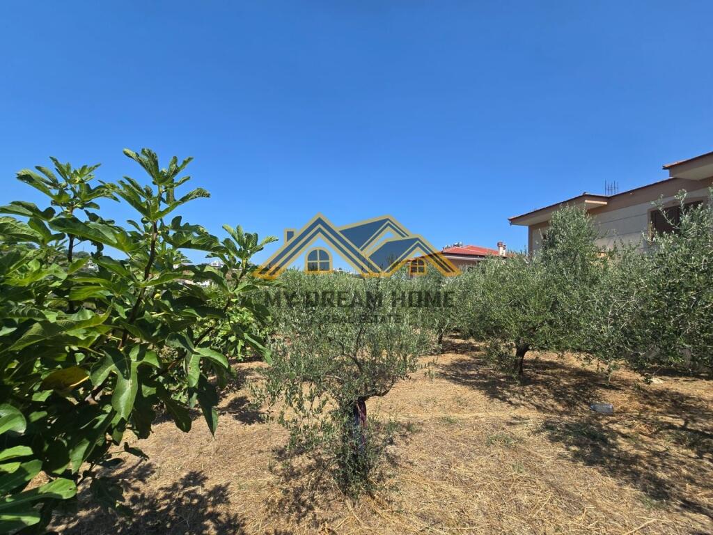 TOKE PER SHITJE NE SHKALLNUR