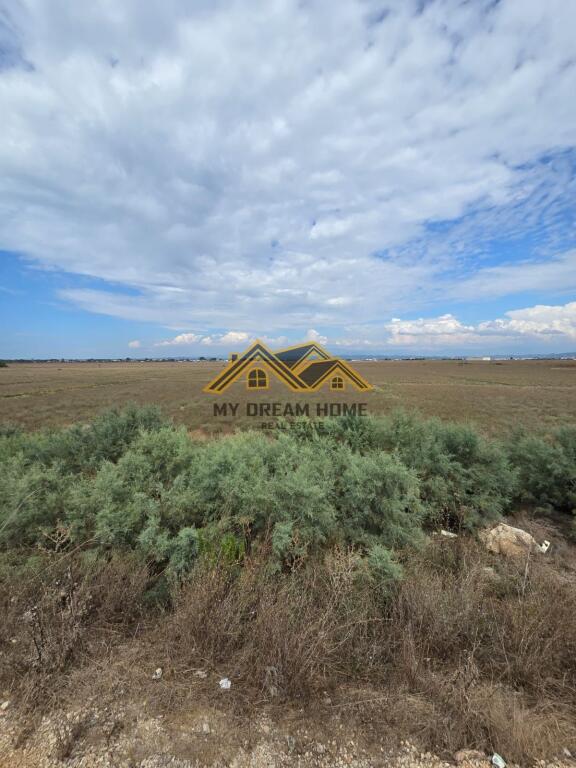 SHITET TOKE NE PORTO-ROMANO ,DURRES!
