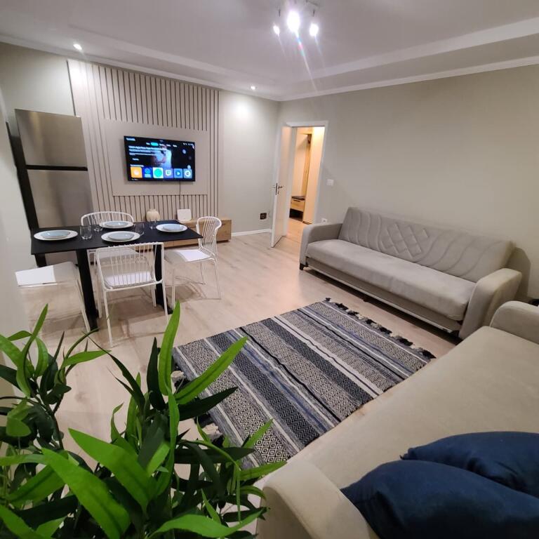 Appartamento 1+1 in affitto