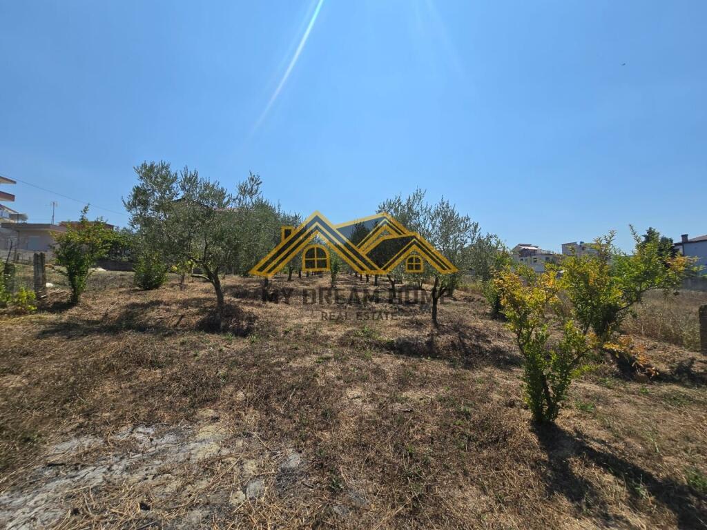 TOKE PER SHITJE NE SHKALLNUR