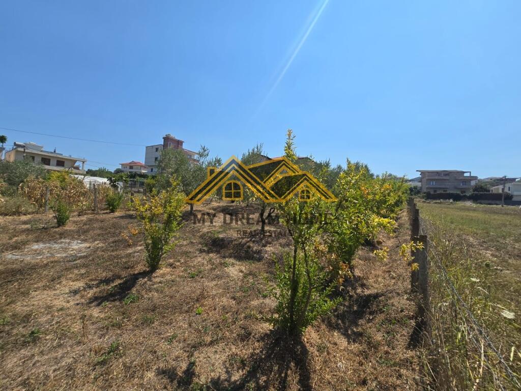 TOKE PER SHITJE NE SHKALLNUR