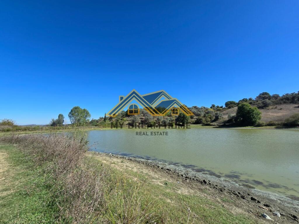 SHITET TOKE ARE NE RROMANAT