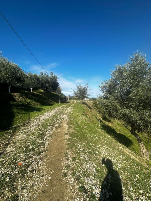 🏡 SHITET TOKË ULLISHTE PRAN AGROTURIZEM ULLISHTJA DURRES