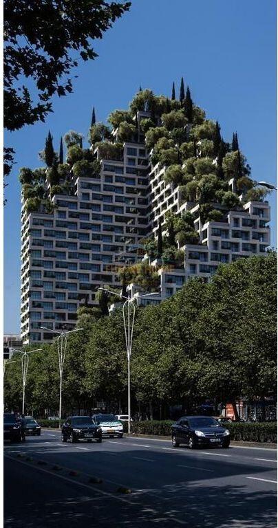 Shitet Apartament 1+1, Lion Park 2