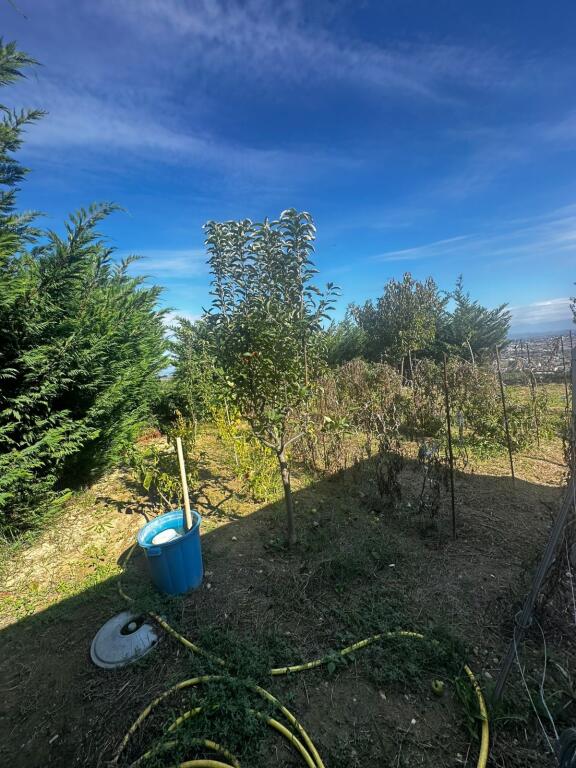 🏡 SHITET TOKË ULLISHTE PRAN AGROTURIZEM ULLISHTJA DURRES