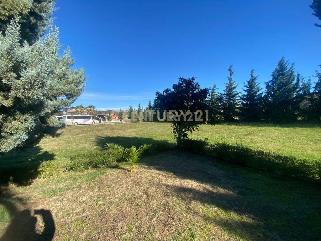 SHITET VILE NE GJIRIN E LALZIT!500000