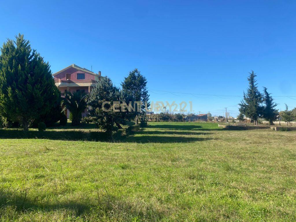 SHITET VILE NE GJIRIN E LALZIT!500000