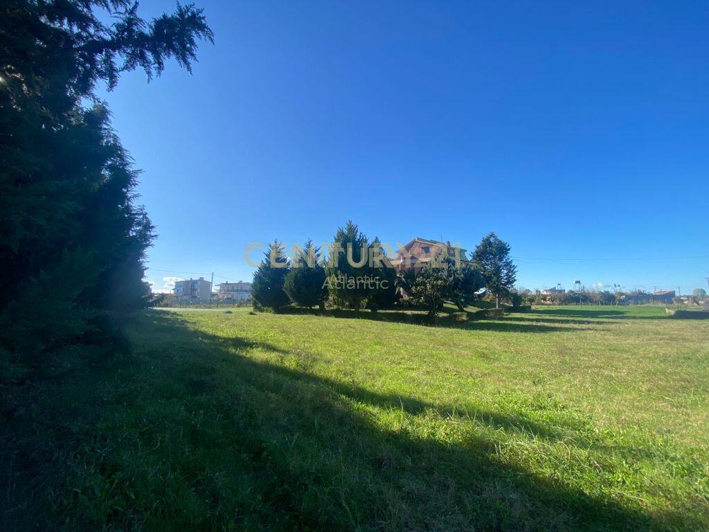 SHITET VILE NE GJIRIN E LALZIT!500000