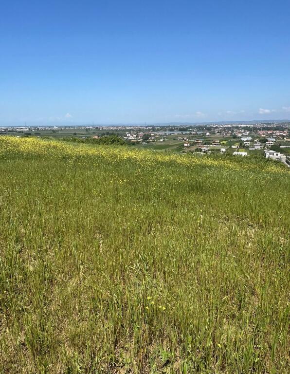 🏡 SHITET TOKË ARE 📍 KODER PJEZE