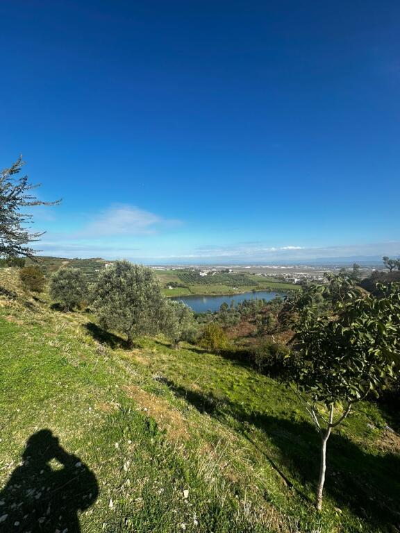 🏡 SHITET TOKË ULLISHTE PRAN AGROTURIZEM ULLISHTJA DURRES