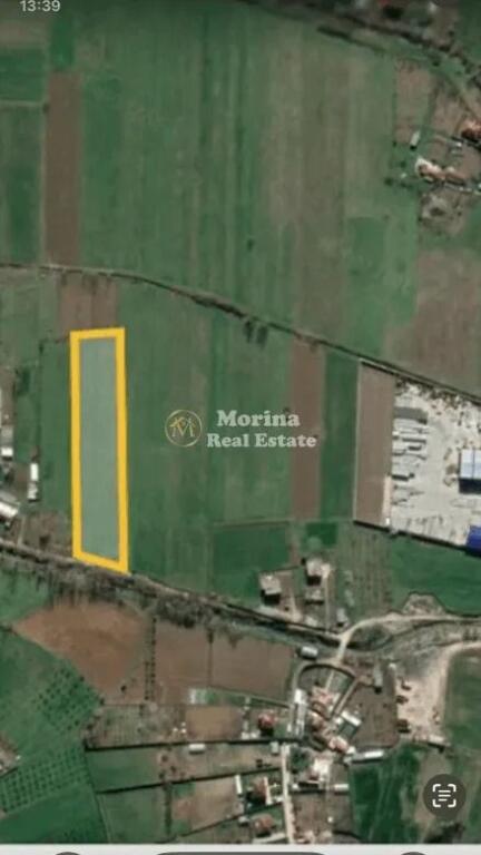 Shitet Toke, Dritas, 85.000 Euro.