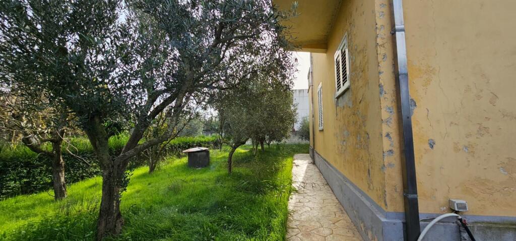 🏡 SHITET VILË 3-KATËSHE • 800 m² TOKË • PJESHKË, SHIJAK