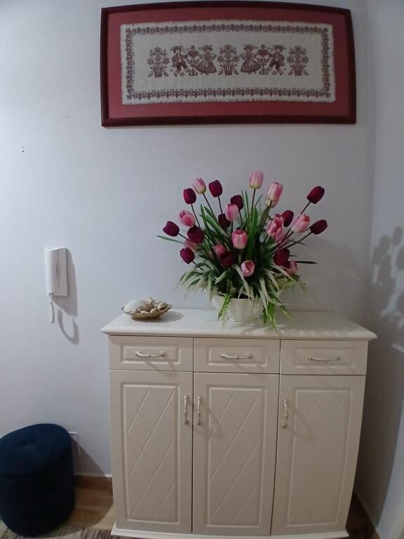 Jepet Me Qera Apartament 2+1+2 Tualete + 2 Ballkone