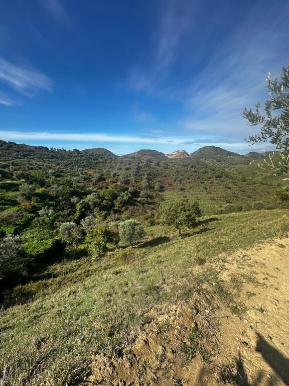 🏡 SHITET TOKË ULLISHTE PRAN AGROTURIZEM ULLISHTJA DURRES