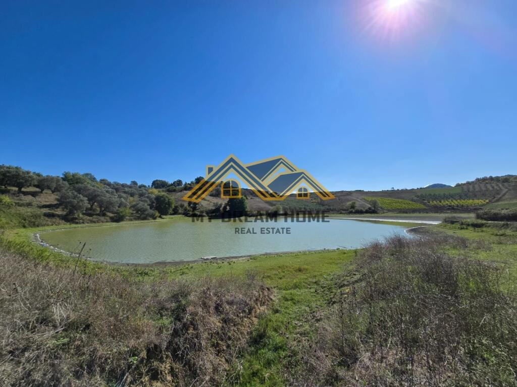 SHITET TOKE ARE NE RROMANAT