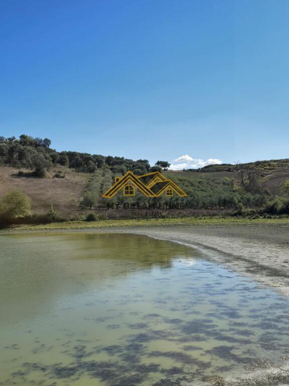 SHITET TOKE ARE NE RROMANAT