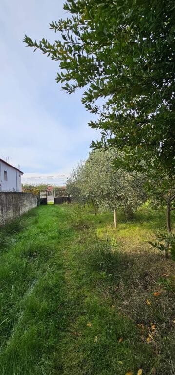 🏡 SHITET VILË 3-KATËSHE • 800 m² TOKË • PJESHKË, SHIJAK