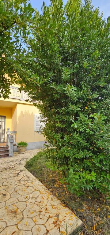 🏡 SHITET VILË 3-KATËSHE • 800 m² TOKË • PJESHKË, SHIJAK