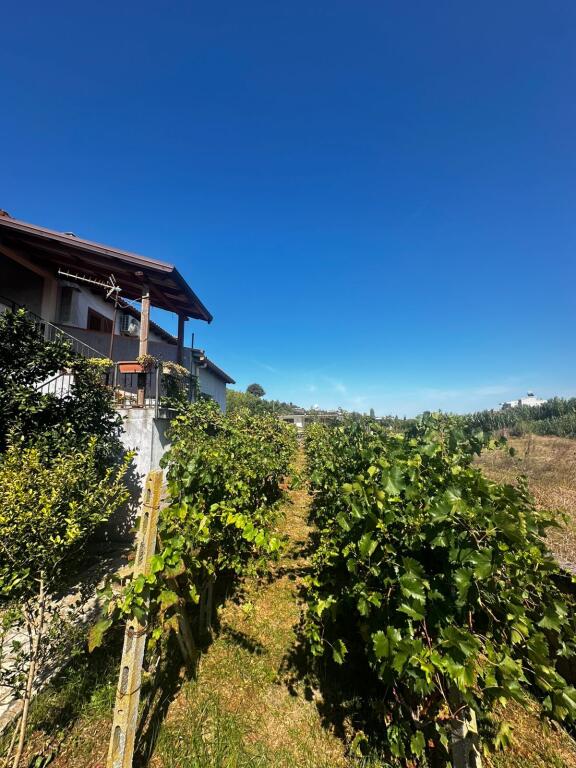 SHITET VILE 2 KATESHE SPITALLE DURRES