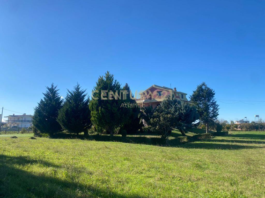 SHITET VILE NE GJIRIN E LALZIT!500000